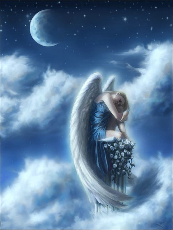 [angel5.jpg]