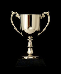 Awards given to this blog