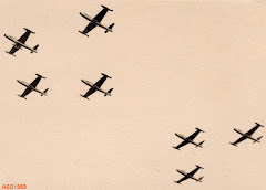 FESTIVAL AÉREO NO AEROPORTO DE LUANDA.