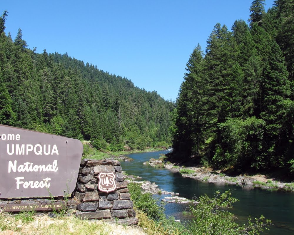 Serena Vida Day 8 Umpqua River and Crater Lake National Park