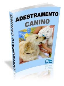 adestramentocaninono8 Curso de adestramento Canino
