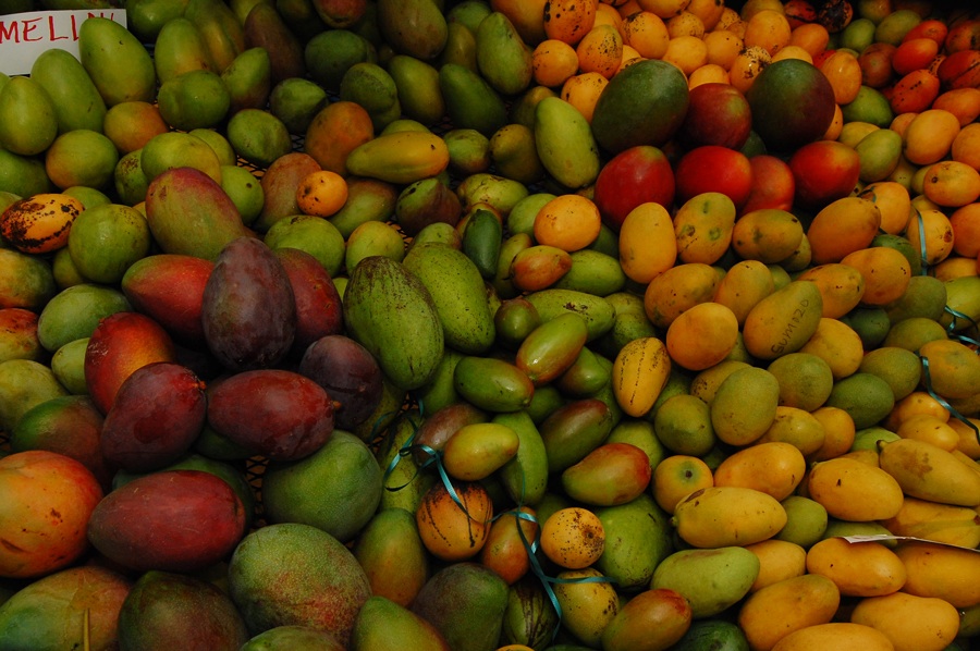 Erin´s Peace Corps Blog in the Dominican Republic Construir tus Sueños