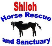 Visit Shiloh's Website