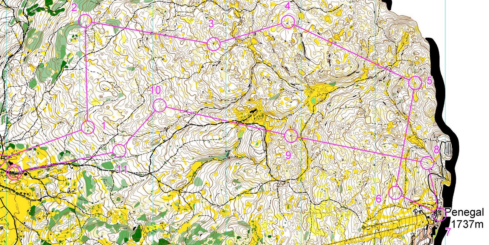 [penegal_long.Penegal_long_pair.jpg]