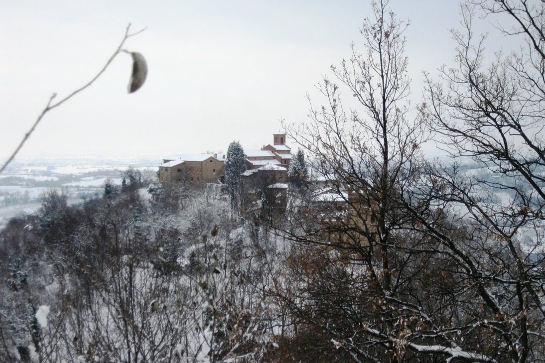 [white_training+(7).jpg]