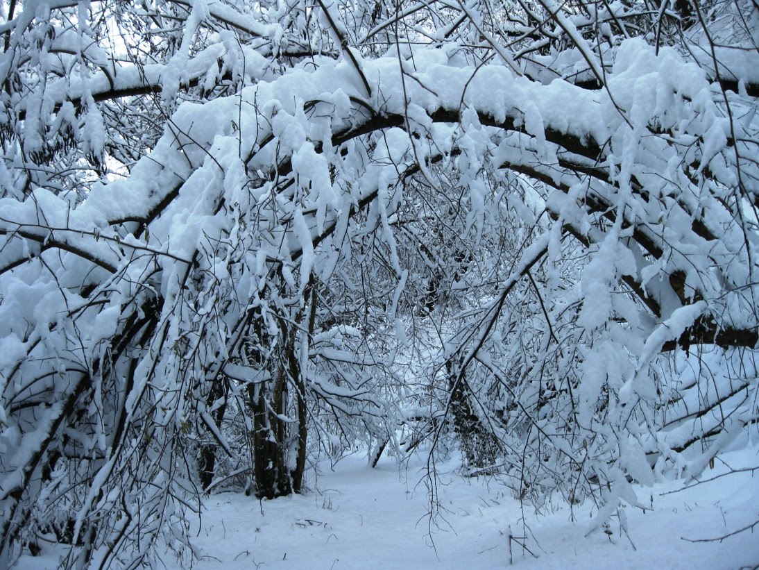 [white_training.jpg]