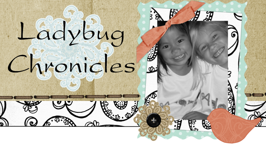 Ladybug Chronicles