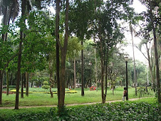 Jardim da Luz.