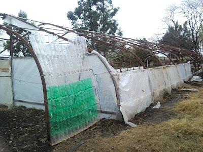 Alumnos de la Escuela de Educación Agraria N° 1 de Gral la Madrid