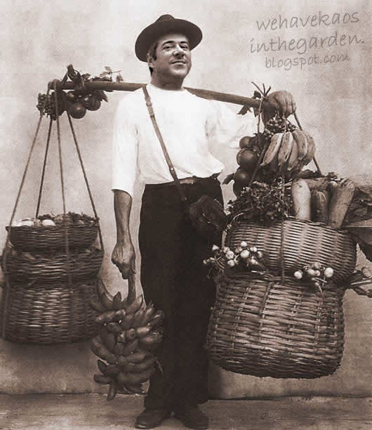 [socratesvendedorfrutatc5.jpg]