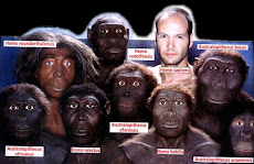 EVOLUCION HUMANA