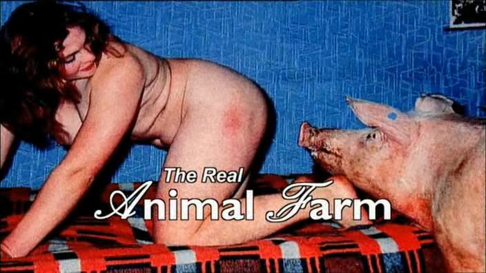 The Dark Side Of Porn The Search For Animal Farm1 Bmp