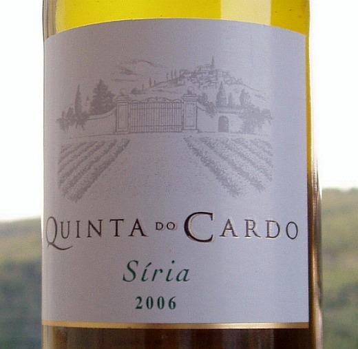 [cardosiria2006.jpg]