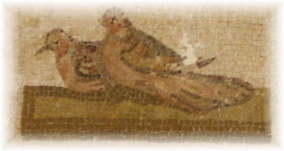 [Copia+de+IMG_3854.JPG]