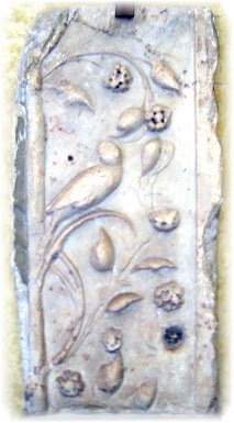 [Copia+de+IMG_9320.JPG]