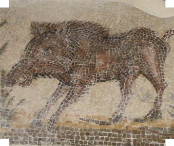 [Copia+de+IMG_3842.JPG]