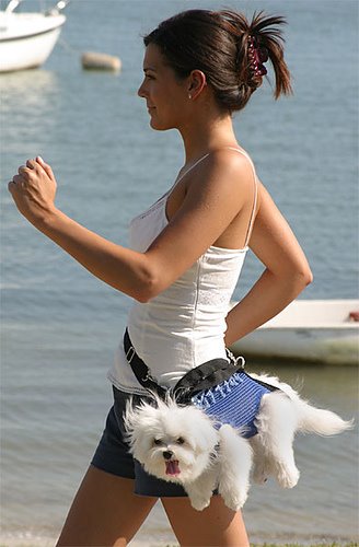 [furr+purse.bmp]