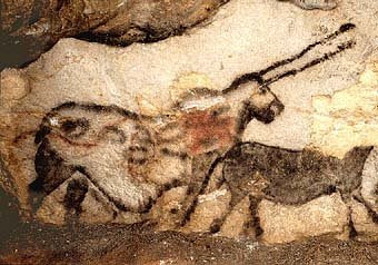 hojas-de-historia-las-pinturas-rupestres-de-la-cueva-de-lascaux-francia