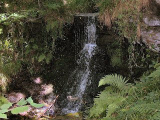 Chopwell Woods Chopwell Woods