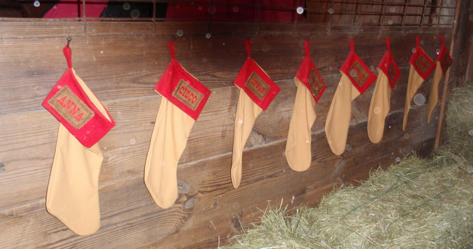 [Stockings+for+each+horse.jpg]