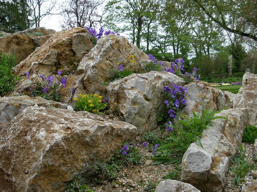 Gerdas Malblog: botanischer Garten in Hof