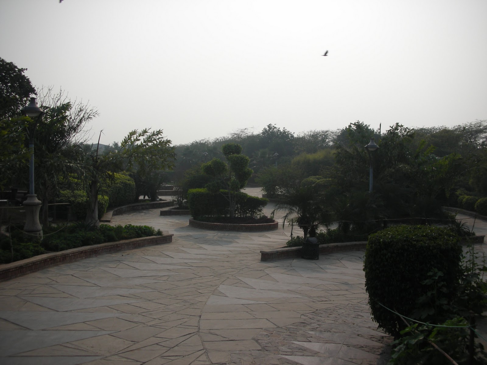 S.M.R.: Garden of the Five Senses