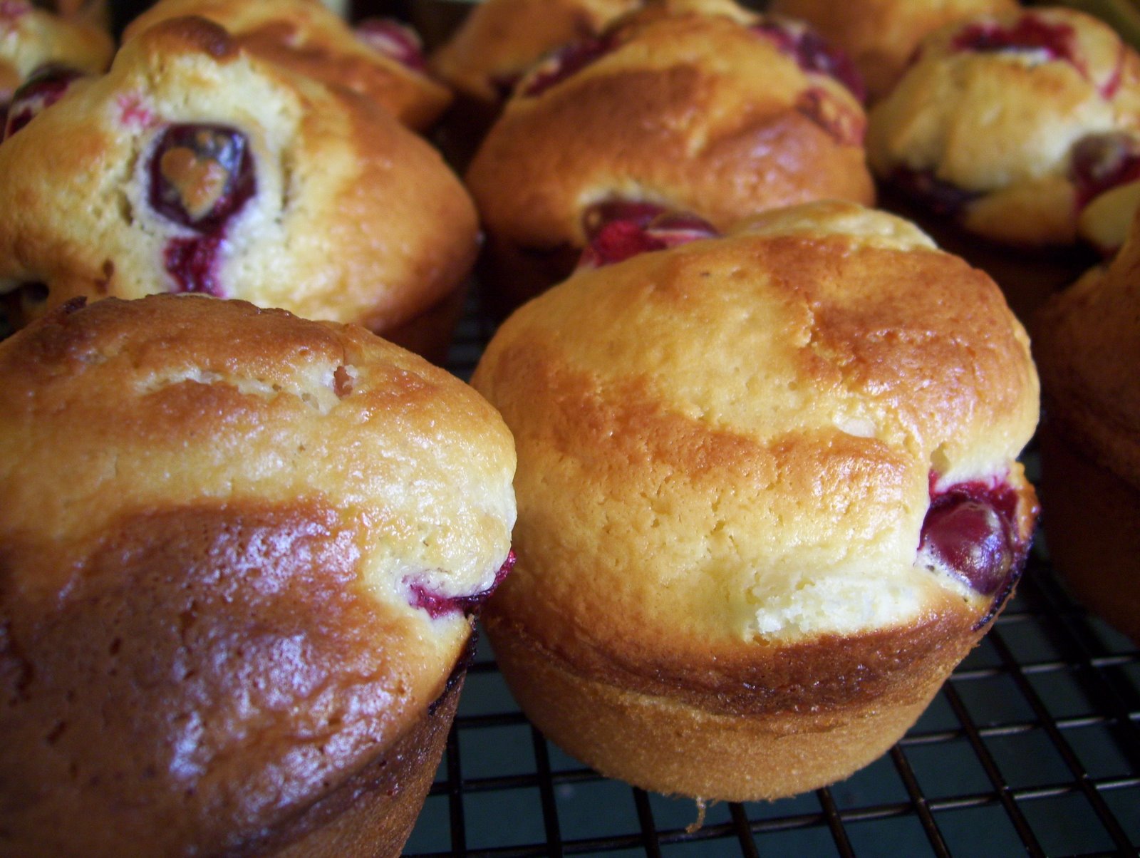 [cranberry+muffin.jpg]