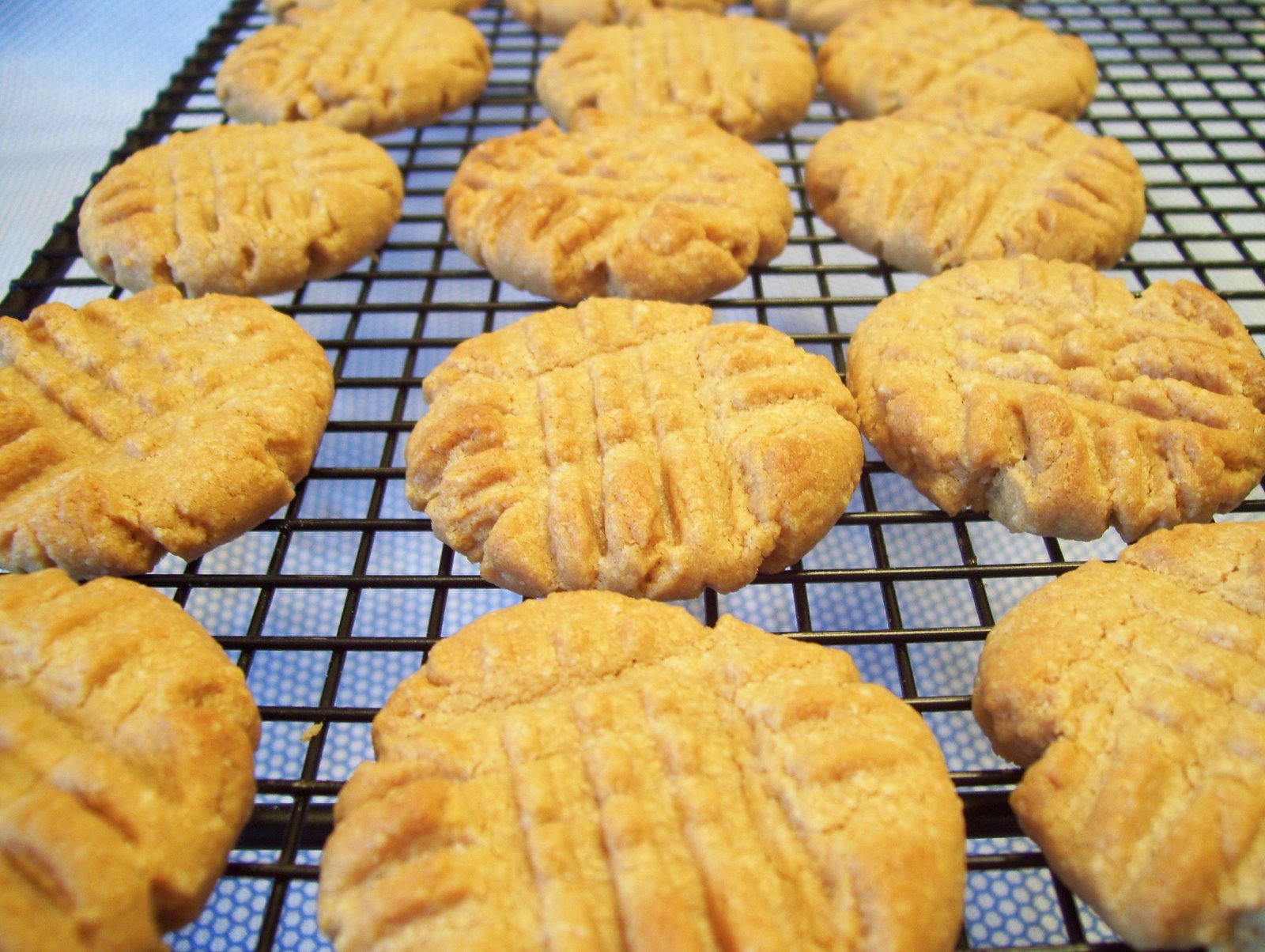 [Peanut+Butter+Cookies+004.jpg]