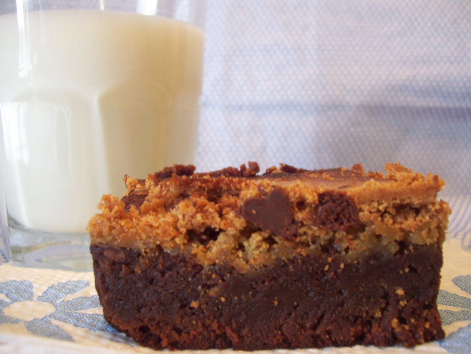 [chip+brownies+002.jpg]