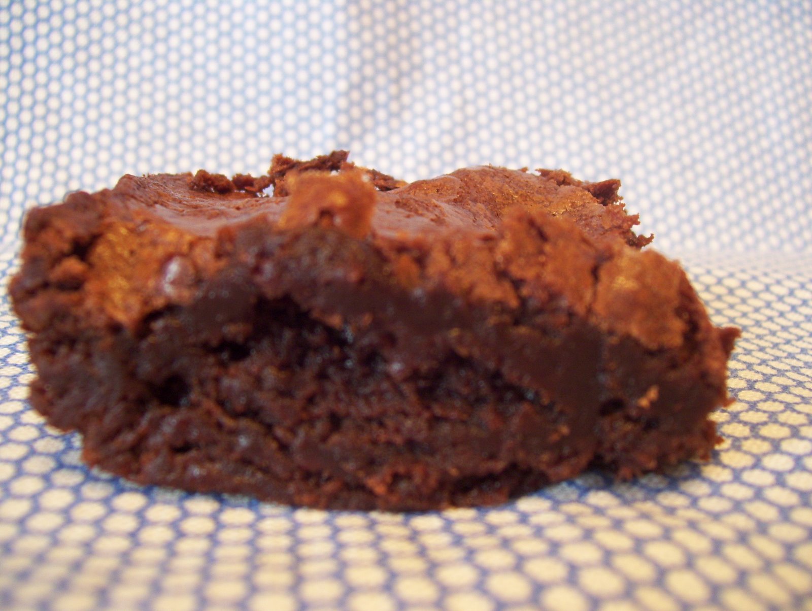 [twd+kh+brown+004.jpg]