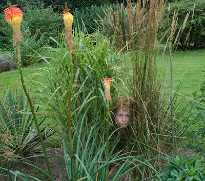 Boy and Red Hot Pokers ⓒ Cate McRae 2007; All Rights Reserved