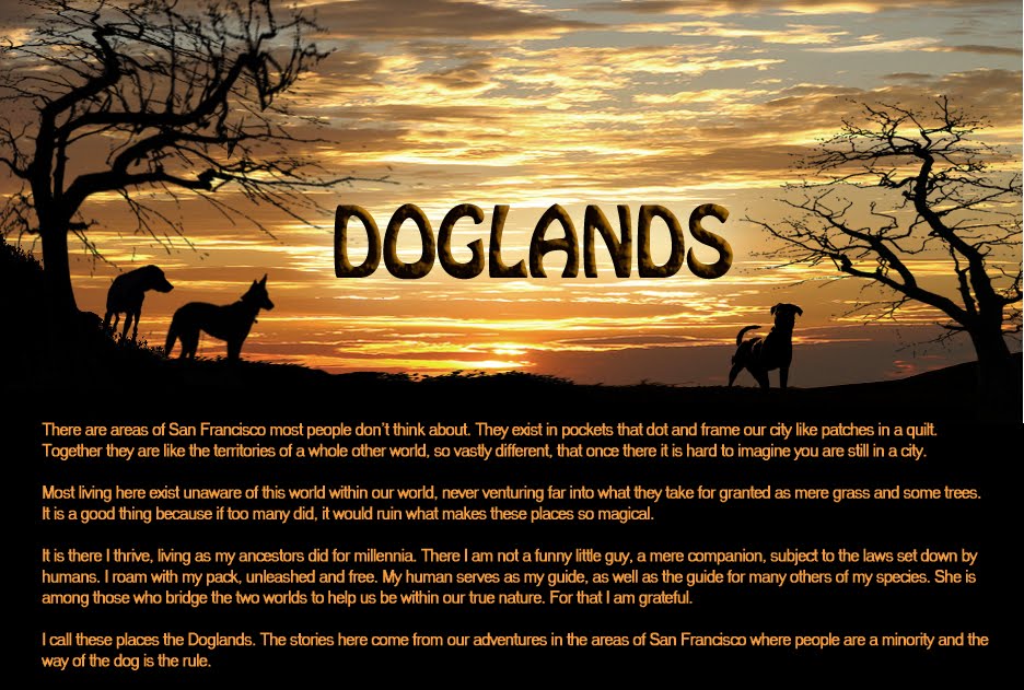 doglands