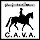 CAVA 2010
