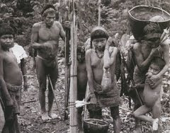 INDIOS CUCORAQUES, exterminados desde hace más de 350 años.