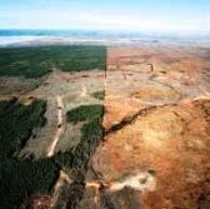 Tar sands - before and after