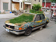 Vehicle reclamation project, Kensington market