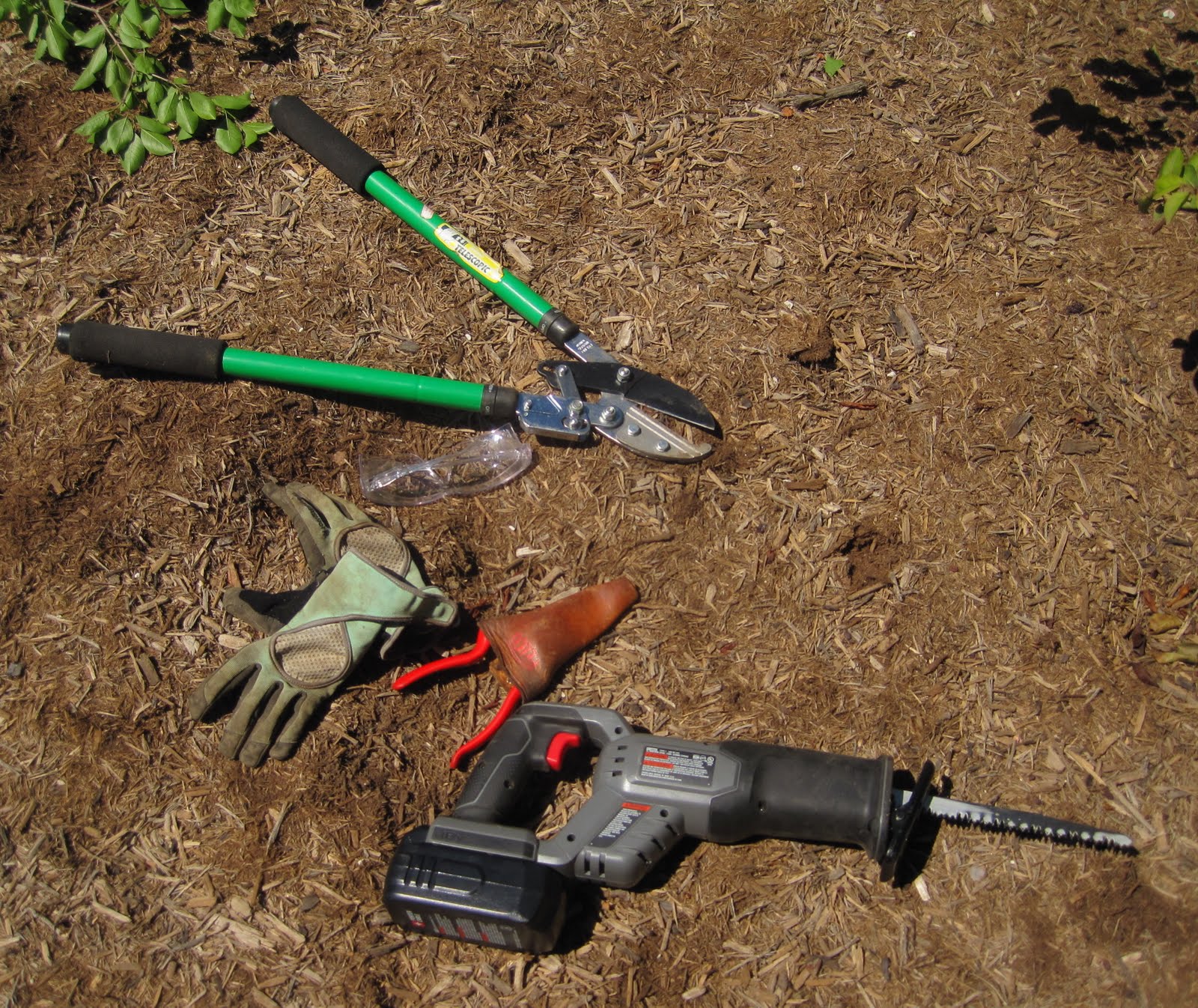 In The Garden Viburnum Snowball Bush