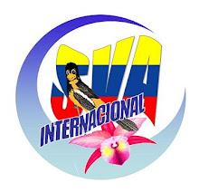 Sociedad Venezolana de Arte Internacional