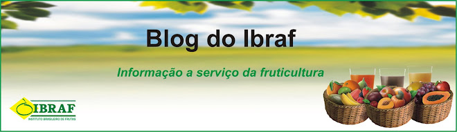 Blog do Ibraf