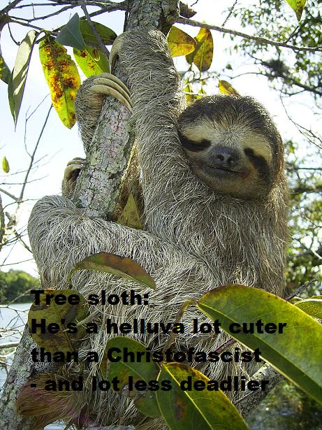[Sloth.jpg]