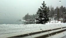 Winter Storm