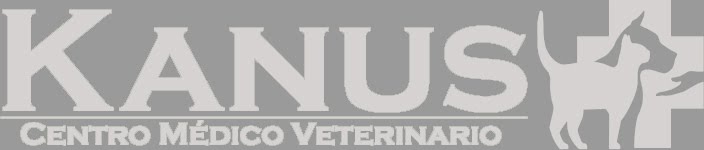 KANUS CIRUGIA