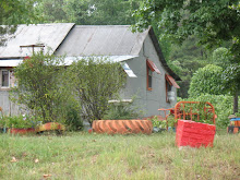 Thrifting through the Mississippi Delta