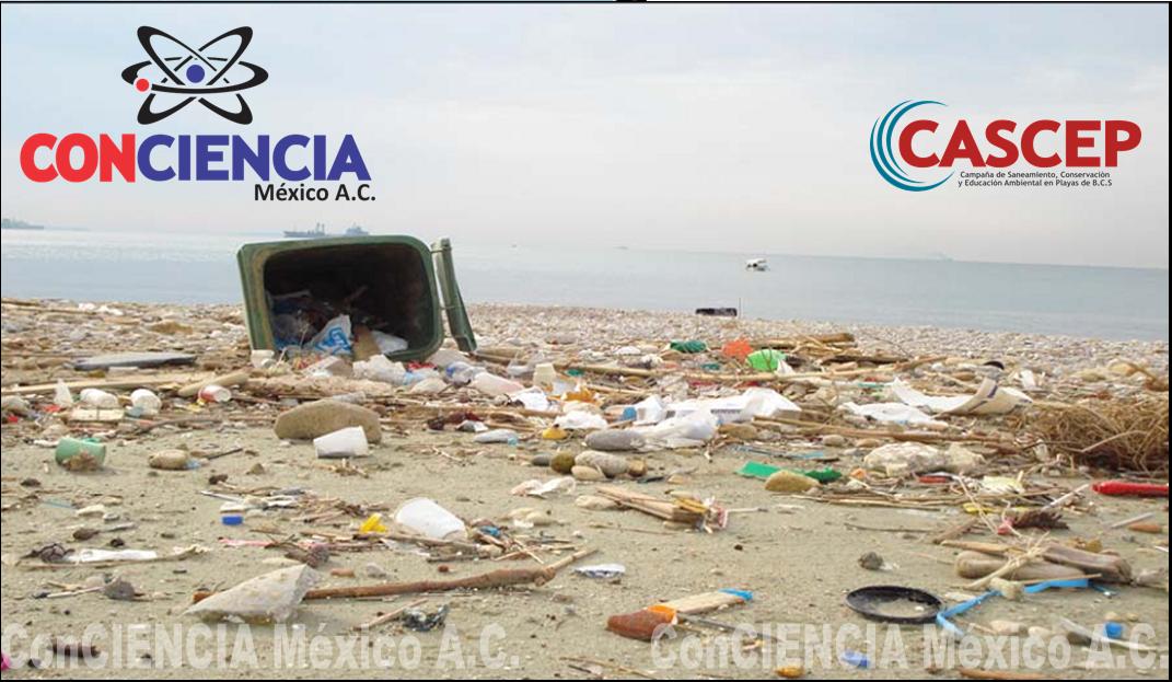ConCIENCIA México A.C.: PROBLEMA DE LA BASURA EN LAS PLAYAS....