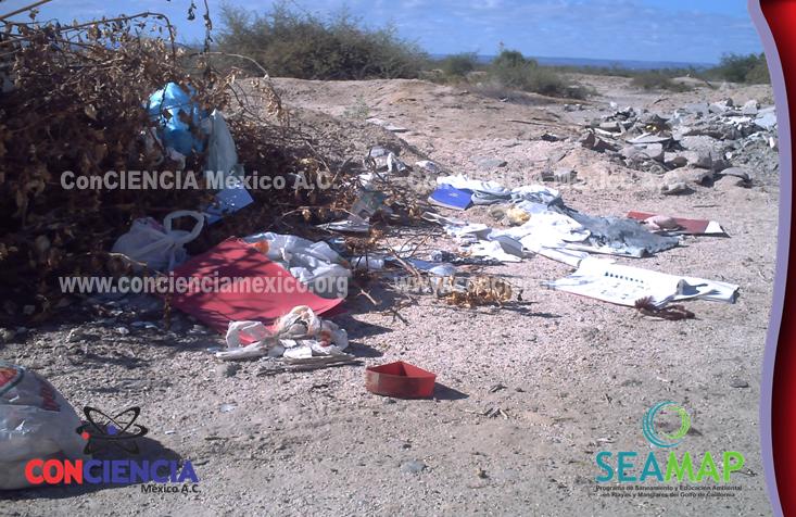 ConCIENCIA México A.C.: PROBLEMA DE LA BASURA EN LAS PLAYAS....