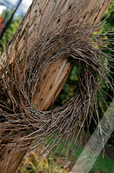 wreath wreaths grapevine twiggy wrestling twig showcases along sunday three scoops winners crafts fall than stick twigs wreat inexpensive scratch