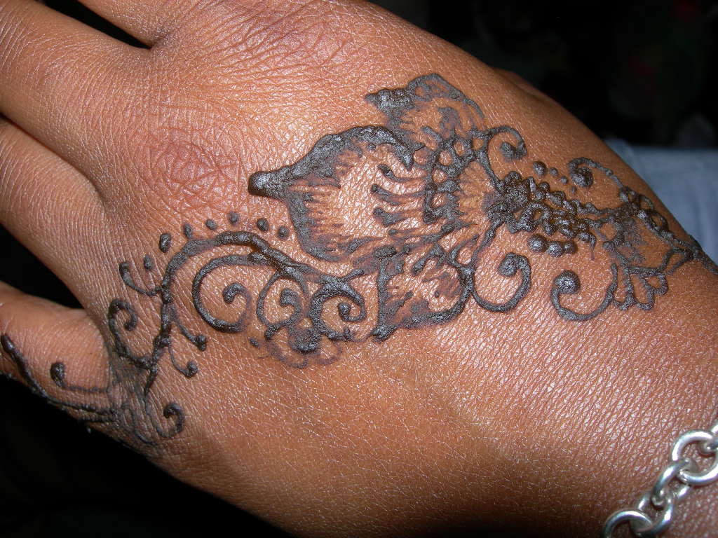Amina Designs Mehandi Henna Henna In Washington Dc