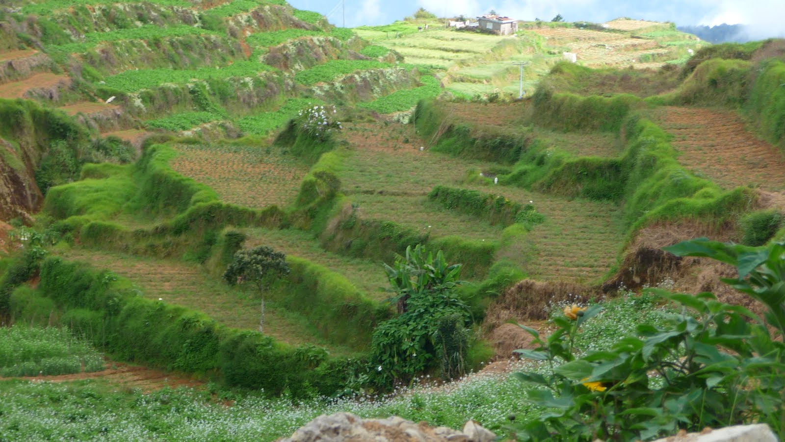 our-little-dream-december-in-the-philippines