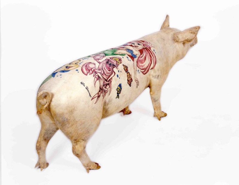 tattoo pig. piggie, pink, tattoo pig.