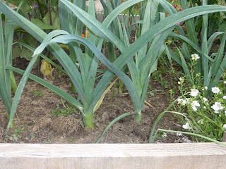 recettes très beau 14 juillet a toutes et tous